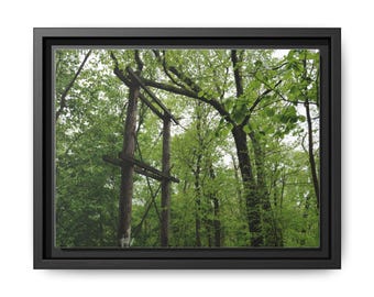 Nature-Inspired Matte Canvas Wall Art - Framed Multi-Color Decor
