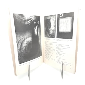 Lithographien Zeichnungen Symbolist Kunstkatalog | Odilon Redon Vintage Museum Bulletin Ausstellungsstück MoMA 1952