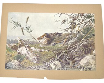 Antique Richard Friese Lion Hunt Print | German Wildlife Chromolithograph | E.A. Seemann Leipzig | Safari Jungle | Collectible Animal Print