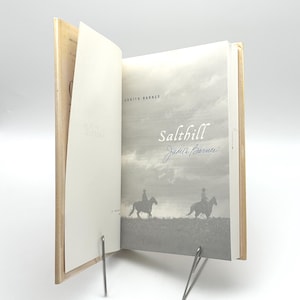 SELTENE SIGNIERTE Afroamerikanische Fiction | Erste Ausgabe Salthill von Judith Barnes