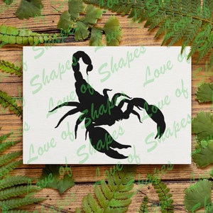 Scorpion - Digital Download, Scorpion Silhouette, Scorpion SVG, DXF