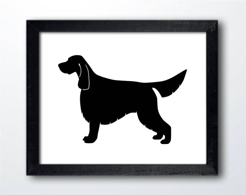 May include: Black silhouette of an Irish Setter dog standing on a white background.