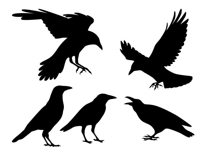 Download Halloween Raven Crow SVG DXF Pack Digital Download | Etsy