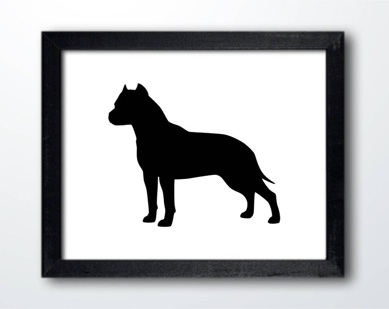 Download American Staffordshire Terrier Digital Download AmStaff | Etsy
