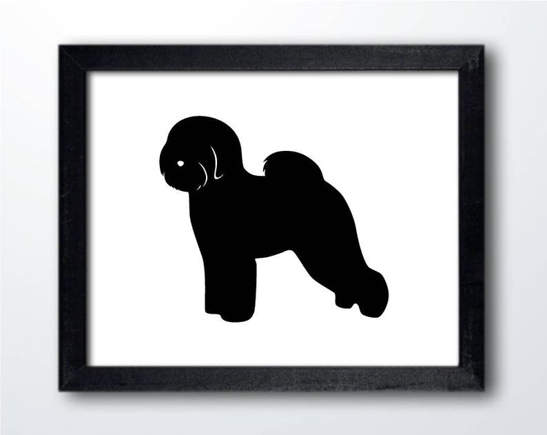 Download Bichon Frise Digital Download Bichon Frise Art Dog | Etsy