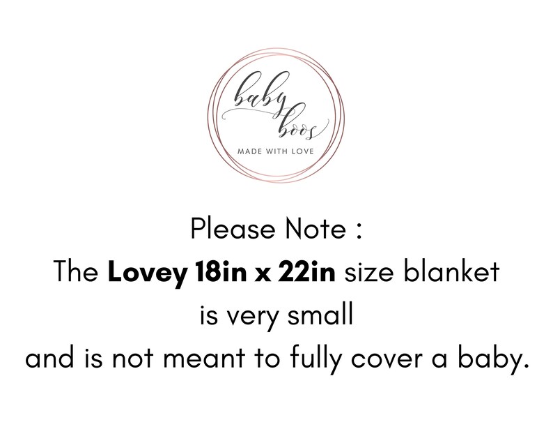 Personalized Baby Blanket Purple Rose Minky Baby Blanket Etsy