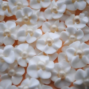 Wedding Cake Decorations- Edible- Royal Icing Flowers- Non- Perishable- White with Ivory Sugar Pearl Center (50)