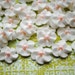 see more listings in the 1/2 inch flowers section