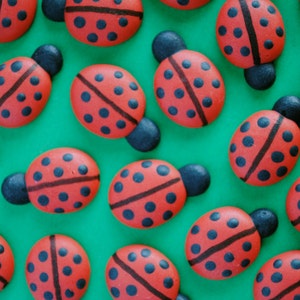 Royal Icing Ladybugs Small Cookie, Cake, Cupcake, Cakepop Topper Edible Decorations 12 image 4