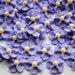see more listings in the 1/2 inch flowers section