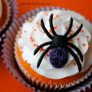 May include: A Halloween cupcake with white icing, orange sprinkles, and a black spider decoration. The cupcake is in a purple paper case against an orange backdrop. The website address cupcakesbychristy.com is visible.
