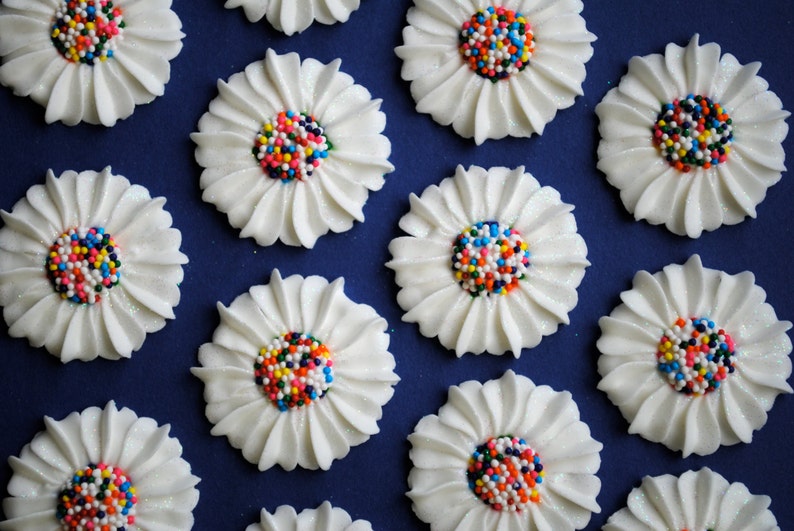 Royal Icing Modern Daisies in White With Rainbow Nonpareil Etsy