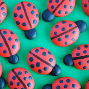 Royal Icing Ladybugs Small Cookie, Cake, Cupcake, Cakepop Topper Edible Decorations 12 image 1