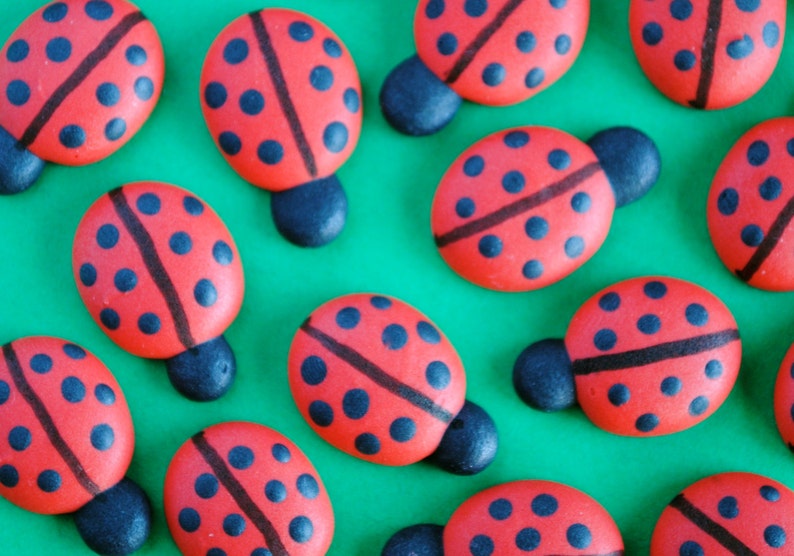 Royal Icing Ladybugs Small Cookie, Cake, Cupcake, Cakepop Topper Edible Decorations 12 image 1