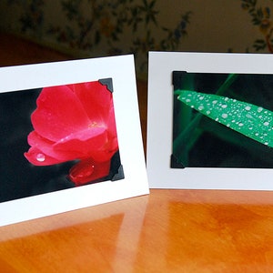 photo note card, water drop, red rose flower, free shipping, chris peters, mementos of the journey image 2