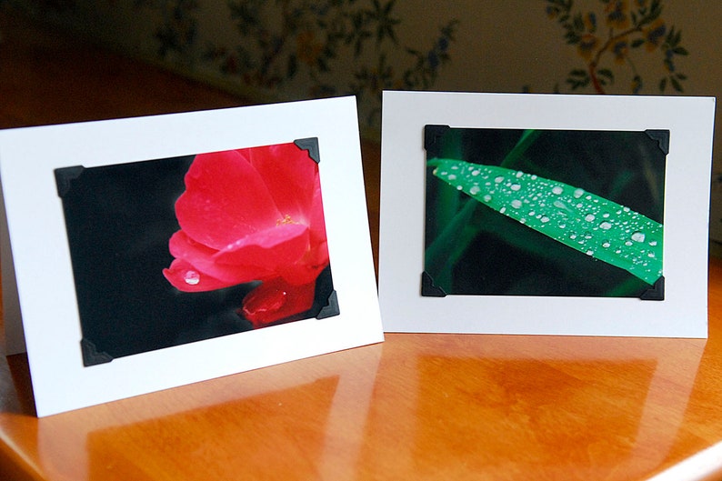 photo note card, water drop, red rose flower, free shipping, chris peters, mementos of the journey image 2