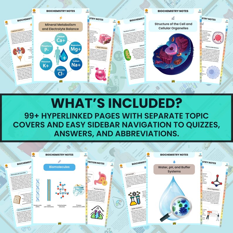 K&ouml;nnte beinhalten: Digitale Biochemie-Notizen mit farbigen Diagrammen und Text. Die Notizen behandeln Themen wie Mineralstoffwechsel, Zellstruktur und Biomolek&uuml;le. Das Bild enth&auml;lt den Text "WHAT'S INCLUDED?" und "99+ HYPERLINKED PAGES".