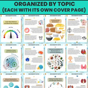 K&ouml;nnte beinhalten: Eine Sammlung von Biochemie-Notizen, die nach Themen geordnet sind, jede mit einer eigenen Titelseite. Die Seiten enthalten Diagramme und Texte zu Themen wie S&auml;ure-Basen-Gleichgewicht und Kohlenhydratstoffwechsel. Das obere Banner lautet "ORGANIZED BY TOPIC (EACH WITH ITS OWN COVER PAGE)".