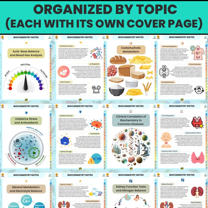 K&ouml;nnte beinhalten: Eine Sammlung von Biochemie-Notizen, die nach Themen geordnet sind, jede mit einer eigenen Titelseite. Die Seiten enthalten Diagramme und Texte zu Themen wie S&auml;ure-Basen-Gleichgewicht und Kohlenhydratstoffwechsel. Das obere Banner lautet "ORGANIZED BY TOPIC (EACH WITH ITS OWN COVER PAGE)".