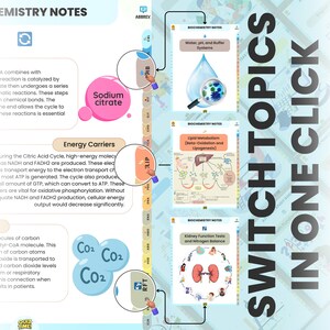K&ouml;nnte beinhalten: Eine farbenfrohe, lehrreiche Infografik mit dem Titel "CHEMISTRY NOTES" und dem Text "SWITCH TOPICS IN ONE CLICK". Die Infografik enth&auml;lt Diagramme und Texte zu biochemischen Themen wie "Water, pH, and Buffer Systems" und "Kidney Function Tests and Nitrogen Balance."