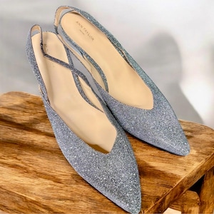 May include: A pair of silver glitter slingback flats with pointed toes. The shoes have a low heel and a strap that goes around the ankle. The brand name "ANN TAYLOR" is visible on the insole.