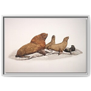 Impression d'art encadrée d'otaries, décoration de la faune océanique, art mural maison de plage, décoration d'intérieur nautique, cadeau pour amoureux des animaux