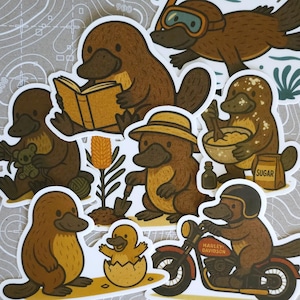 Cute Platypus Sticker Pack | Waterproof Vinyl Stickers | Snorkeling, Baking, Gardening, Crocheting, Dad Life, Motorbike, Reading