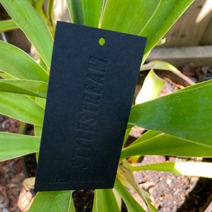 May include: A rectangular black hang tag featuring the embossed text STYLESTREAM in a vertical orientation. The tag includes a small circular hole at the top for attachment and the website URL WWW.SHOPSTYLESTREAM.COM printed at the bottom.