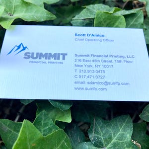 K&ouml;nnte beinhalten: Eine wei&szlig;e Visitenkarte mit einem blauen Bergsymbol und dem Text Summit Financial Printing. Sie enth&auml;lt den Namen Scott D'Amico, Chief Operating Officer, die Adresse 216 East 45th Street, 15th Floor, New York, NY 10017, Telefonnummern und E-Mail-Adresse.