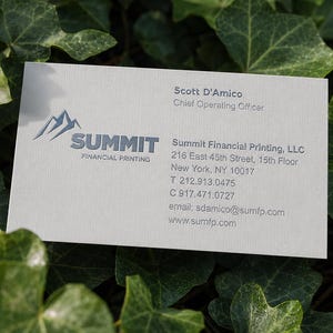K&ouml;nnte beinhalten: Eine rechteckige wei&szlig;e Visitenkarte mit dem blauen Logo von Summit Financial Printing und einer Berggrafik. Der Text enth&auml;lt den Namen Scott D'Amico, Chief Operating Officer, die Firmenadresse in New York, Telefonnummern und die E-Mail-Adresse.