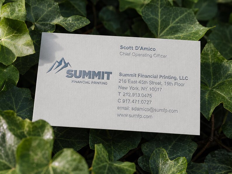 K&ouml;nnte beinhalten: Eine rechteckige wei&szlig;e Visitenkarte mit dem blauen Logo von Summit Financial Printing und einer Berggrafik. Der Text enth&auml;lt den Namen Scott D'Amico, Chief Operating Officer, die Firmenadresse in New York, Telefonnummern und die E-Mail-Adresse.
