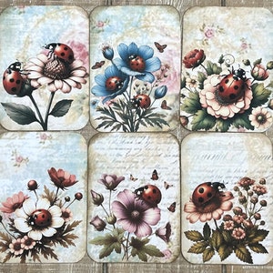 Coccinelles et fleurs style vintage journal indésirable jardin floral cartes de journal indésirable coccinelles 2 1/2 X 3 1/2 cartes journal topper pour cartes, lot de 10