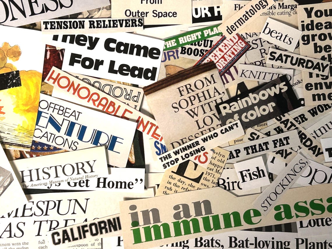 Mystery Random Magazine Clippings Lot of Ephemera Magazine Words ...