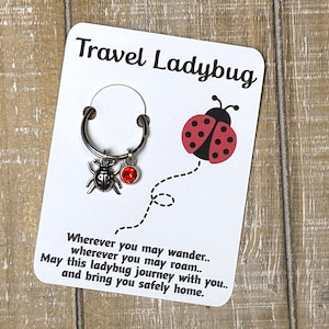 Cadeau porte-clés avec carte Porte-clés de voyage coccinelle avec breloque coccinelle cadeau porte-clés
