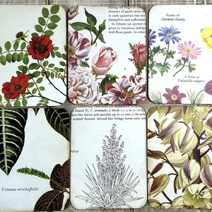 junk journal flower cards paper ephemera card journal 3 X 4 journal cards from upcycled flower gardening books