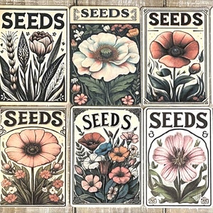 Cartão de bolso de pacote de sementes de flores estilo vintage diário lixo de sementes de flores cartões de diário lixo 2 1/2 X 3 1/2 cartões de diário conjunto de 10