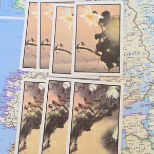 Vintage Vogel Pinochle Spielkarten - 7er Set