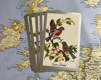 Vintage Eastern Bluebird-speelkaarten: set van 10 inch