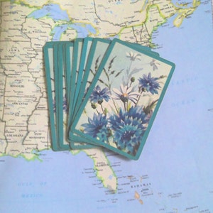 Vintage White Daisies and Blue Flowers Playing Cards- Set of 10
