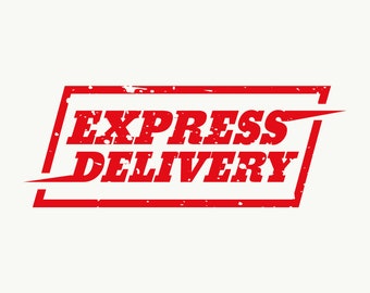 Express Delivery with DHL/TNT/UPS