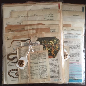 May include: A stack of vintage paper ephemera, tied with twine, in a clear plastic sleeve. The papers are mostly cream-colored with some brown and blue accents. The papers have text and illustrations, including a snake, a Native American, and a map. The papers are perfect for scrapbooking, journaling, or crafting.