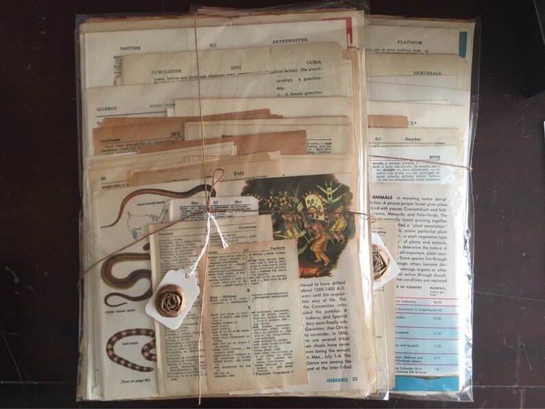 Vintage Dictionary (50) Pages- Vintage Paper Ephemera Lot PAPER PACK - Etsy
