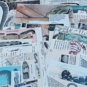 Snake Grunge Pack - Vintage Papier Ephemera viel Papierpackung, Ephemera, Wüste, Klapperschlange, Boa, Schlangen, Kupferkopf, Reißzähne, Schlangenhaut, Gartenschlange