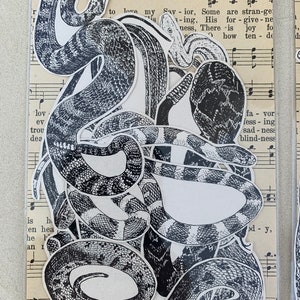 Snake Pack - Vintage Papier Ephemera Lot Papier Pack, Ephemera, Wüste, Klapperschlange, Boa, Schlangen, Copperhead, Reißzähne, Schlangenhaut, Gartenschlange Mamba