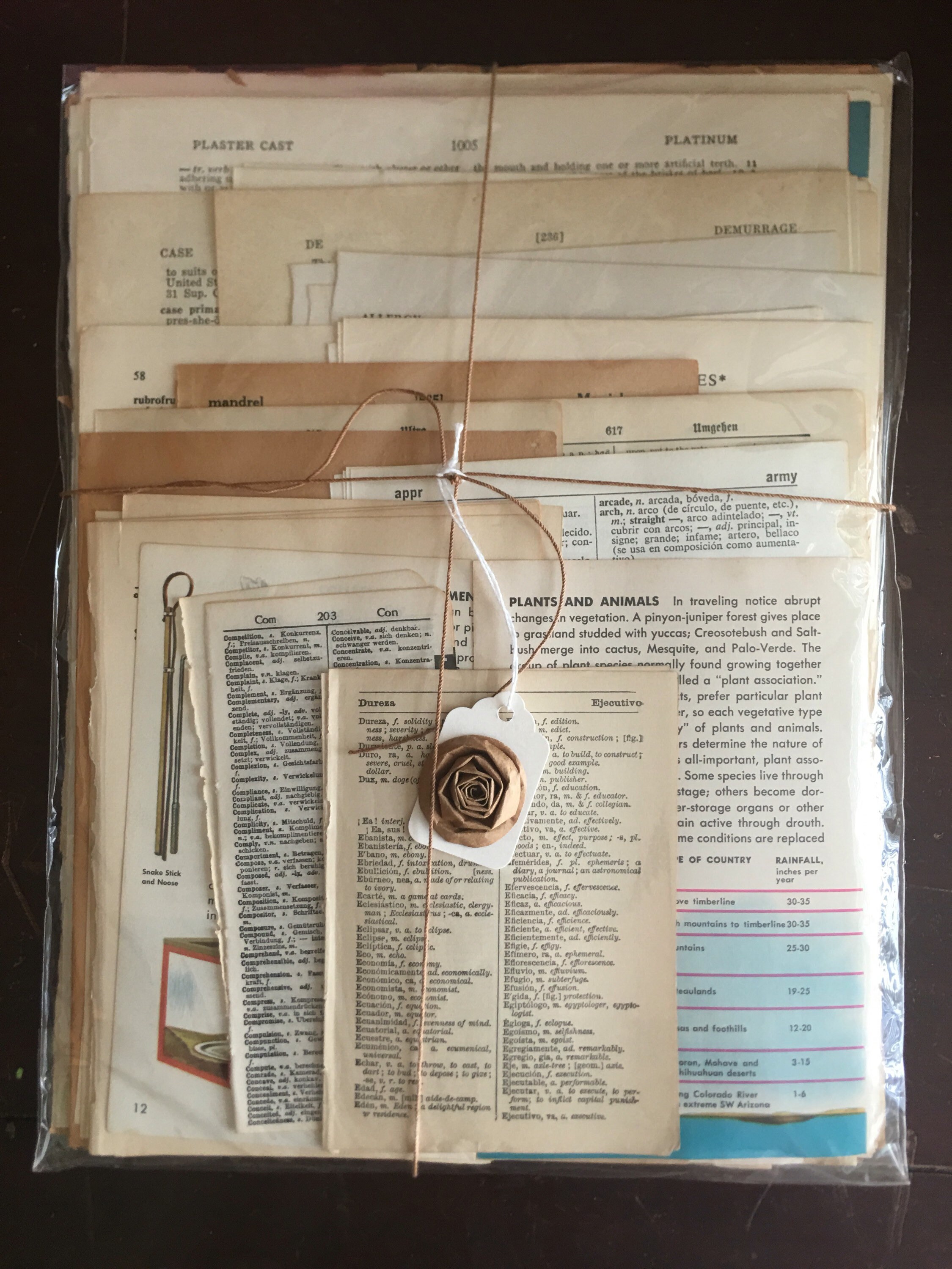 Vintage Dictionary (50) Pages- Vintage Paper Ephemera Lot PAPER PACK - Etsy