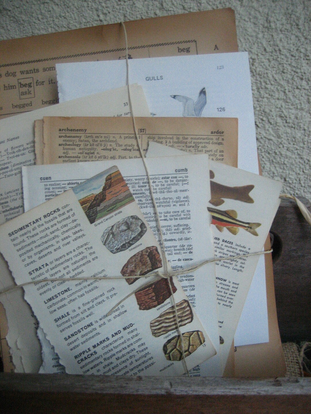 Vintage Dictionary (50) Pages- Vintage Paper Ephemera Lot PAPER PACK - Etsy