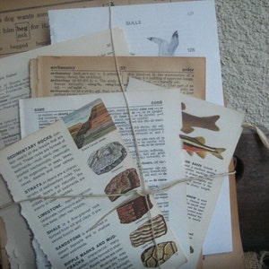 May include: A collection of vintage paper scraps tied together with twine. The papers feature text about geology, including the words "Sedimentary Rocks", "Limestone", "Shale", "Sandstone", "Ripple Marks and Mud-Cracks", and "Gulls".