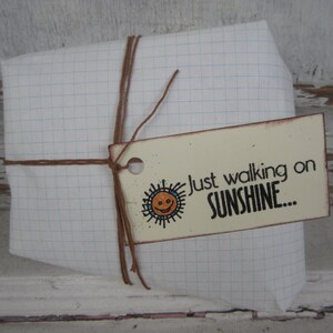 A Little Note 5 1 each of Walking on Sunshine, Too Cool, Great Idea, Fabulous Friend, and a tree tags, packaging, gift wrap, handmade image 2