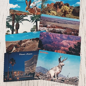 Vintage ansichtkaarten uit Arizona reizen ephemera Verenigde Staten, Arizona, Jackalope, Phoenix, Grand Canyon, versteend bos, geschilderde woestijn encanto