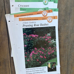 May include: A stack of gardening guides with green and white covers. The top guide is titled "A Basic Guide to Pruning Rose Bushes". The guide features a photo of a rose bush with pink flowers. The text below the photo reads "Proper pruning is an easy way to keep your Rose bushes healthy, blooming, and looking their best."